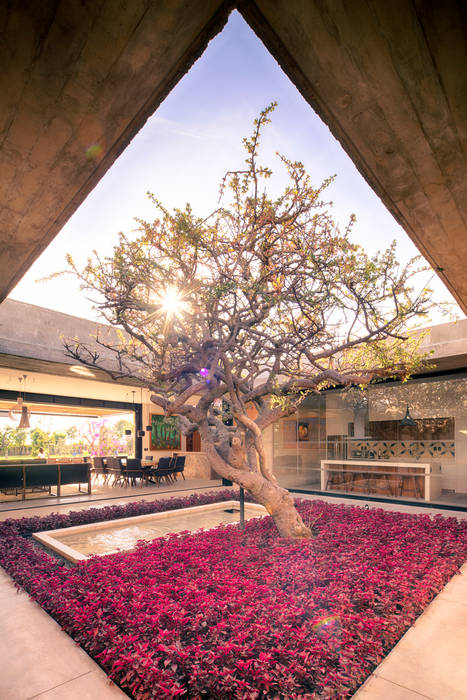 Patio central qg: jardines de estilo por taller tlaiye, moderno | homify