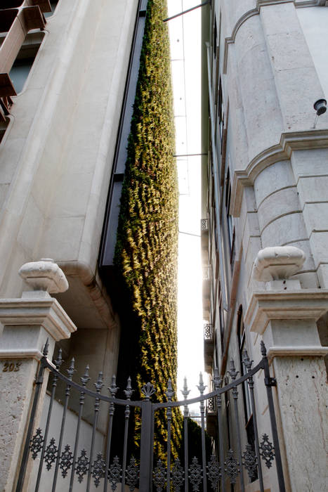 O maior jardim vertical de Portugal - AVENIDA DA LIBERDADE 203, Wonder Wall - Jardins Verticais e Plantas Artificiais Wonder Wall - Jardins Verticais e Plantas Artificiais Front yard