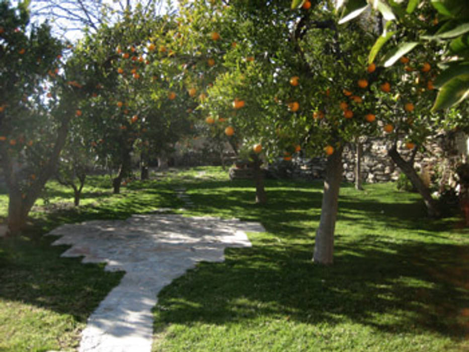 Jardín Mirasur Proyectos S.L. Jardines en la fachada