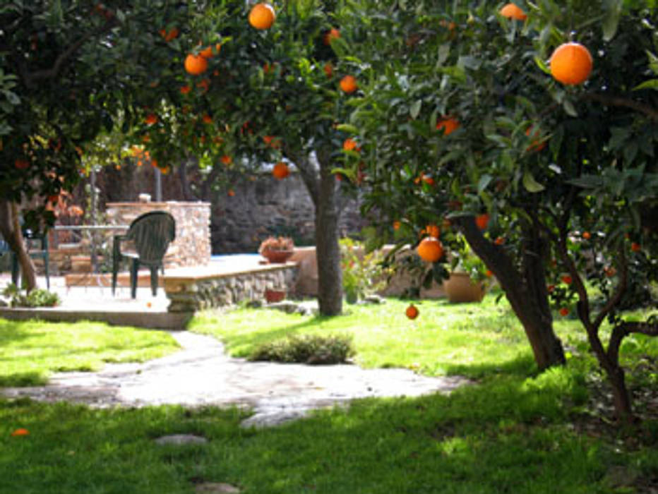 Naranjo en el jardín Mirasur Proyectos S.L. Jardines con piedras