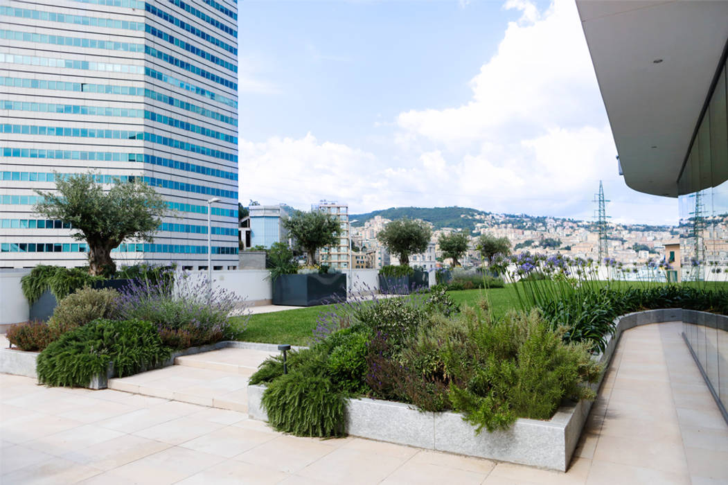 TERRAZZA MERCEDES | Genova, marta carraro marta carraro Ticari alanlar Oto Galerileri