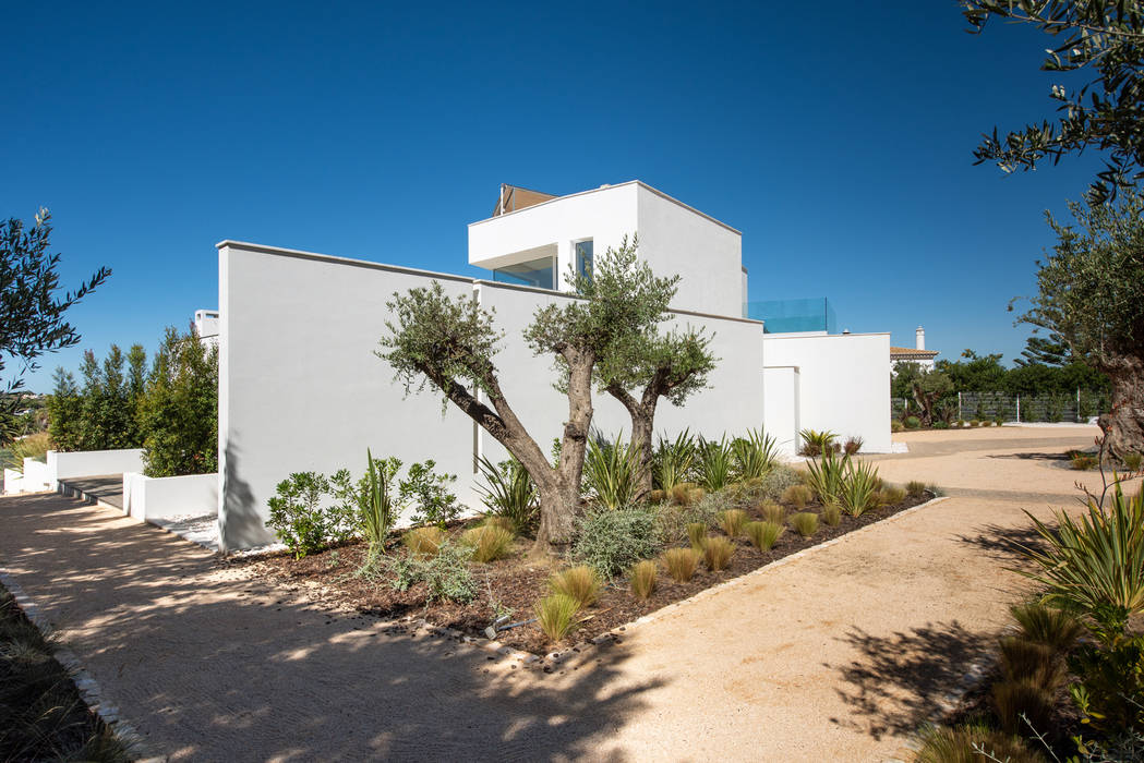 Casa Salicos, dacruzphoto dacruzphoto Modern walls & floors Concrete