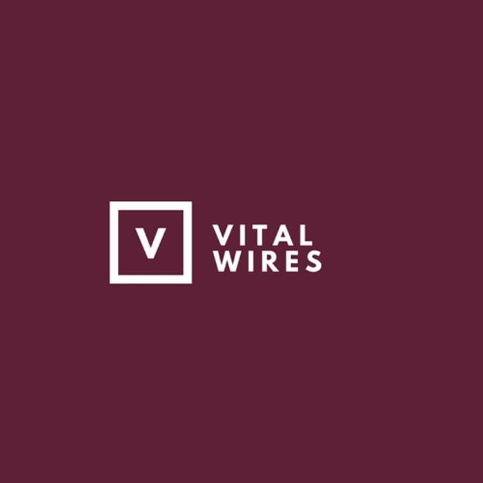 Vital Wires - sap consulting Vital Wires SAP Consulting Services - India Commercial spaces Conference Centres