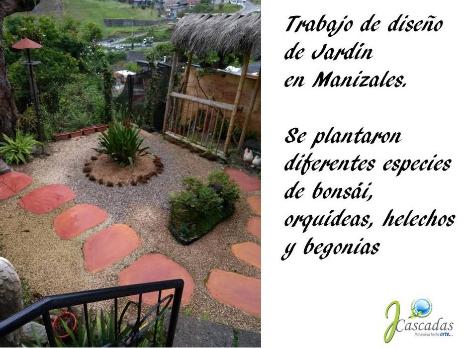 PRESENTACIÓN, JCASCADAS JCASCADAS Jardines de estilo asiático Plantas y flores