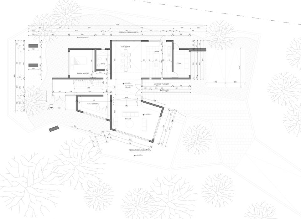 Planta arquitectura Lagom Studio terrazas,vista,naturaleza,primer piso,estar,comedor,cocina,logia,dormitorio,baño,escalera,ilumnacion natural