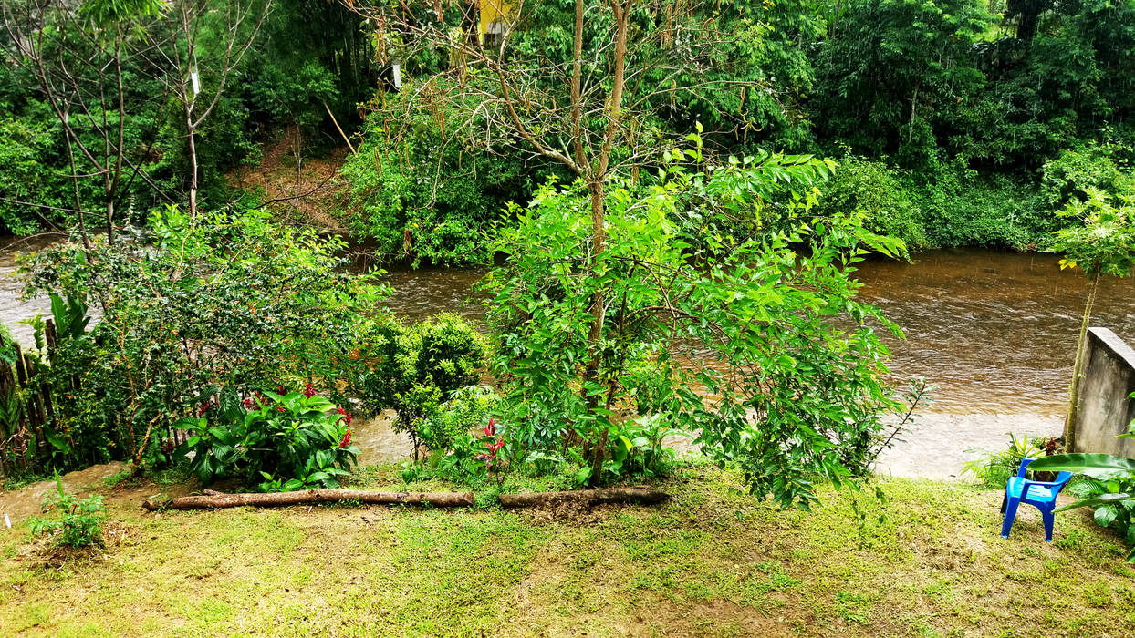 Residência em Paraty, Oria Arquitetura & Construções Oria Arquitetura & Construções Lagoas de jardins