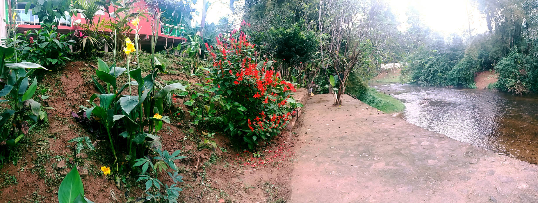 Residência em Paraty, Oria Arquitetura & Construções Oria Arquitetura & Construções Rock Garden