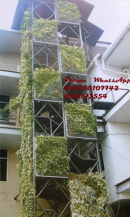 JASA TUKANG TAMAN VERTIKAL SURABAYA - Vertical garden, TUKANG TAMAN SURABAYA - jasataman.co.id TUKANG TAMAN SURABAYA - jasataman.co.id Tropical style garden Plants & flowers