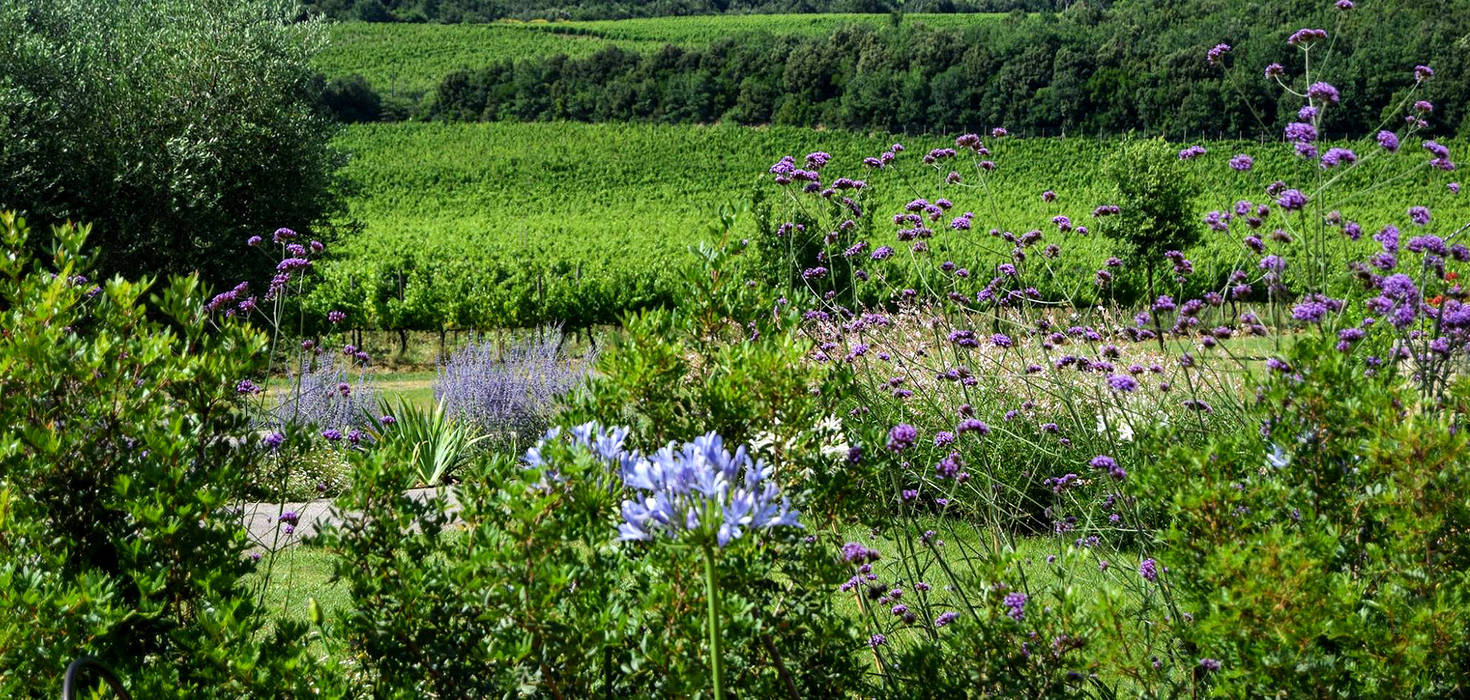 Podere Brizio a Montalcino, Fabiano Crociani Garden design Fabiano Crociani Garden design Rustic style garden