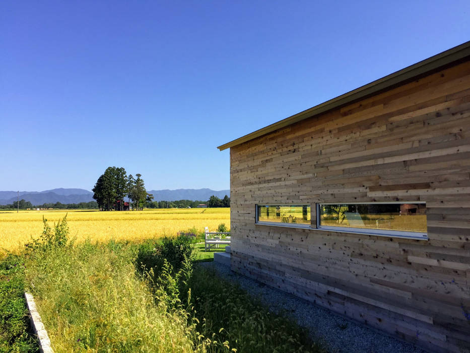 ｃａｆｅ＋ｇａｌｌｅｒｙ 青田風, ディアーキテクト設計事務所 ディアーキテクト設計事務所 مساحات تجارية خشب Wood effect متاحف