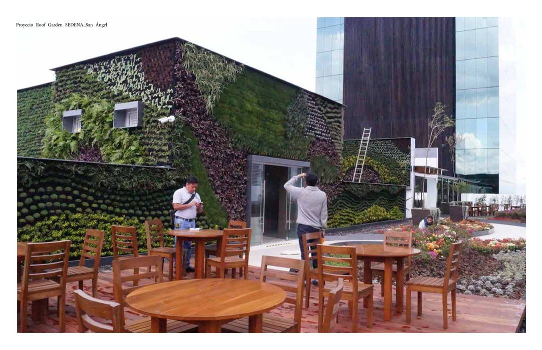 Roof Garden San Angel Designo Arquitectos Jardines modernos Bambú Verde