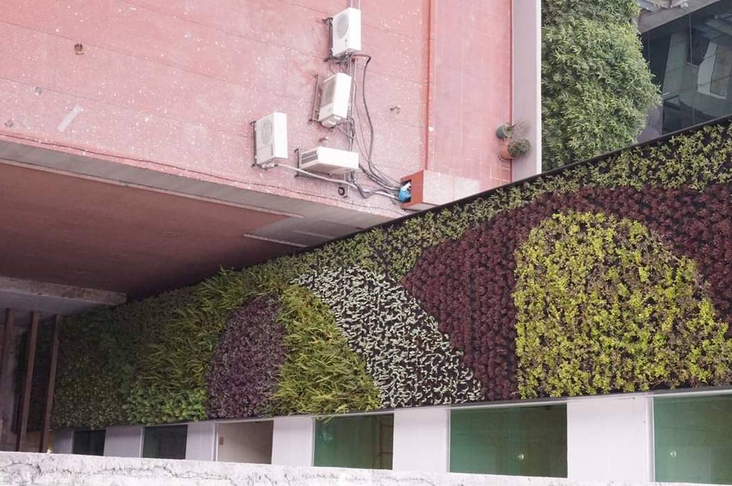Muros Verdes, Designo Arquitectos Designo Arquitectos Espacios comerciales Bambú Verde Edificios de oficinas