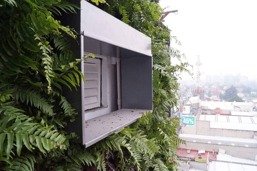 Muro Verde en San Angel Designo Arquitectos Espacios comerciales Bambú Verde Centros comerciales