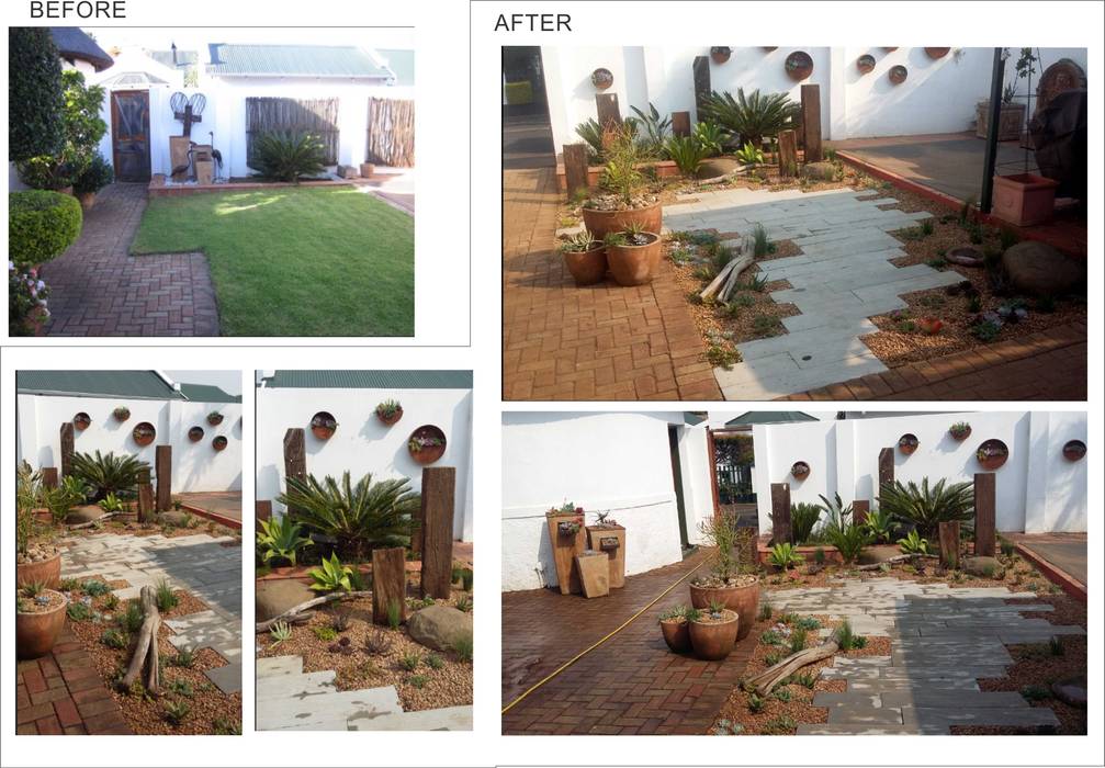 Low maintenance, succulent, townhouse garden, Young Landscape Design Studio Young Landscape Design Studio