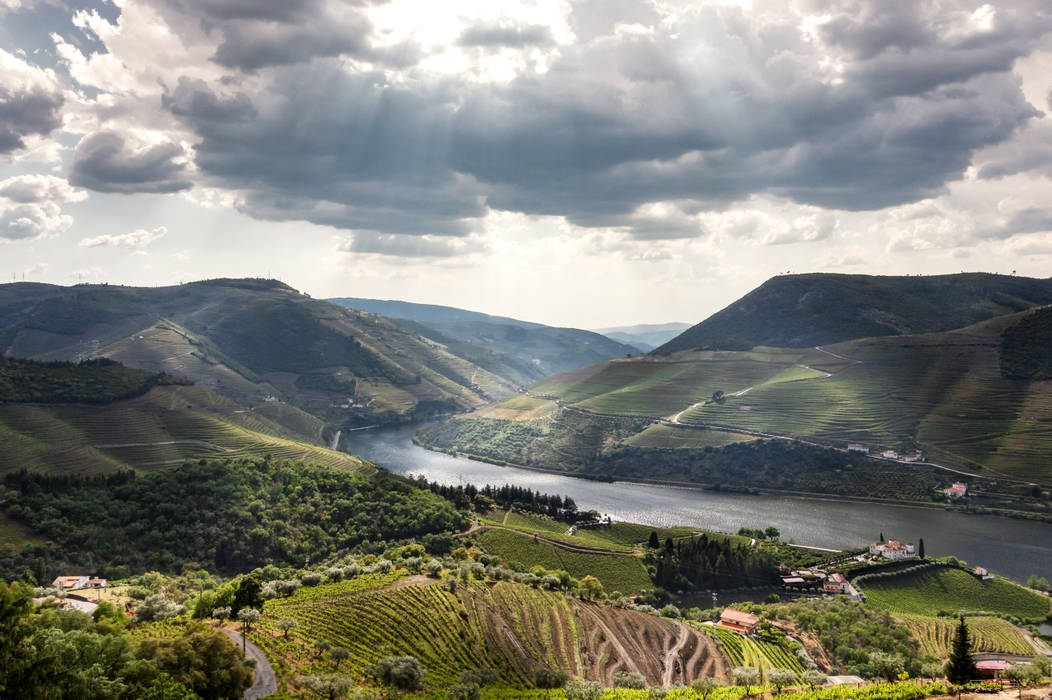 SeMarkinhas * Douro Private Villa | Turismo Rural, João Boullosa João Boullosa 상업공간 호텔