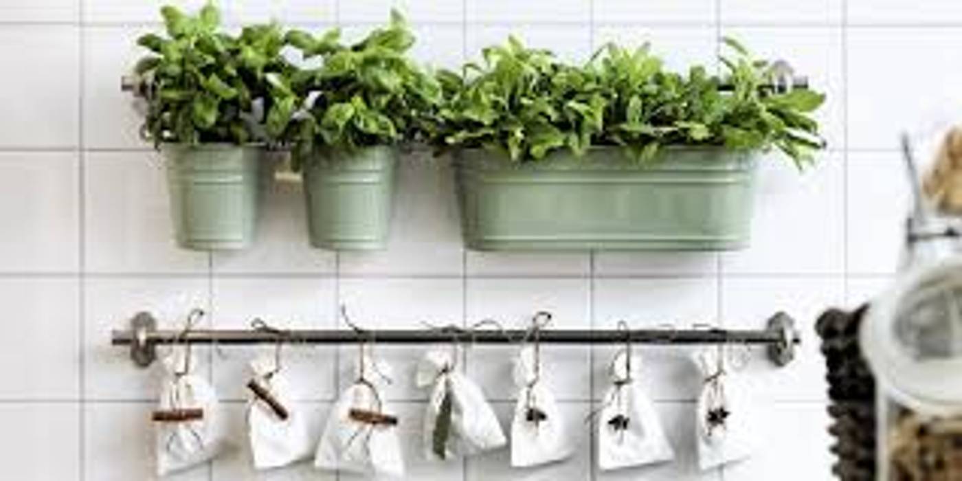 Ideas para decorar con plantas, Decopot.es Decopot.es Modern kitchen