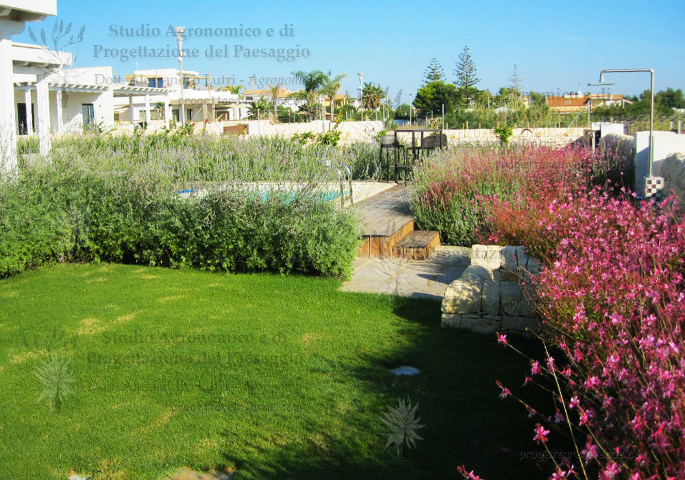 Giardini per villette, Alessandro Lutri - Agronomo Paesaggista Alessandro Lutri - Agronomo Paesaggista Giardino in stile mediterraneo