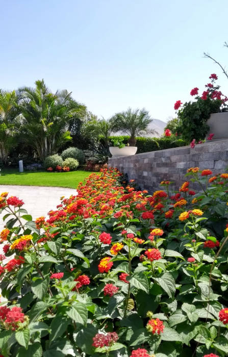 Paisajismo Campo-Playa, Lima Perú DECOGARDEN: PAISAJISMO Y JARDINERÍA Jardines de estilo tropical