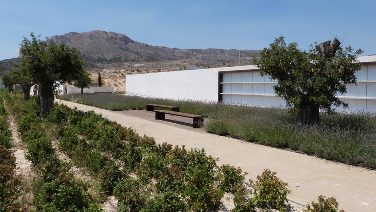 Ampliación cementerio de Xixona, Carlos Gallego Carlos Gallego Jardines zen