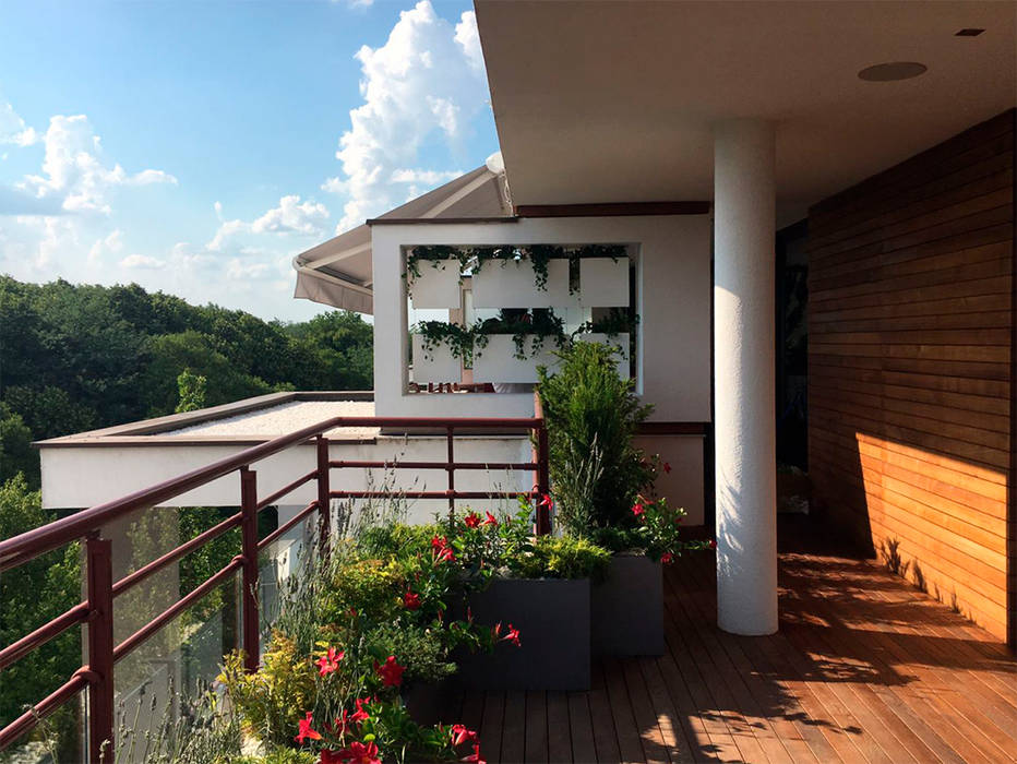 Cortina vegetal integrada en el entorno natural Systemclip by Serastone Balcones y terrazas de estilo minimalista Madera Acabado en madera cortina
