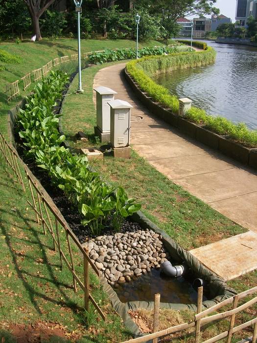 Landscape Water Quality "Wetland", Cipta Kreasi Flora Cipta Kreasi Flora