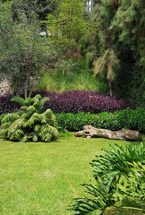 Un jardín donde el cliente se pueda sentir en un oasis particular., Marcia Lenz Paisajismo Marcia Lenz Paisajismo Jardines de estilo moderno