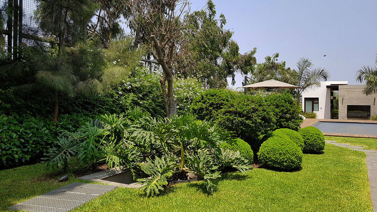 Un jardín donde el cliente se pueda sentir en un oasis particular., Marcia Lenz Paisajismo Marcia Lenz Paisajismo Taman Modern