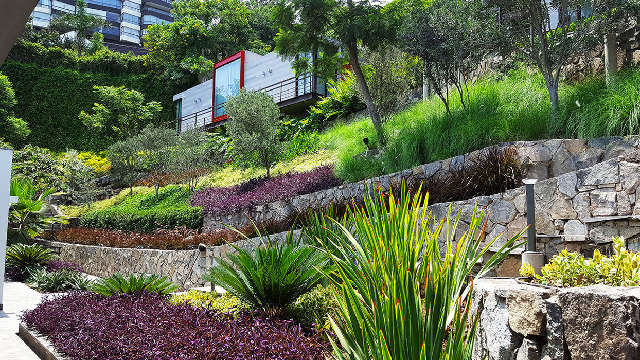 Un jardín donde el cliente se pueda sentir en un oasis particular., Marcia Lenz Paisajismo Marcia Lenz Paisajismo Jardines de estilo moderno