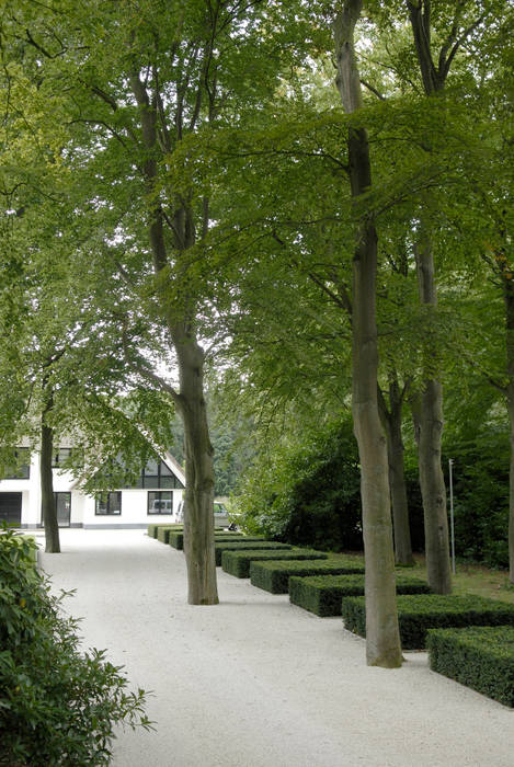 ​Trunk cathedral, Andredw van Egmond | designing garden and landscape Andredw van Egmond | designing garden and landscape Jardines de estilo minimalista