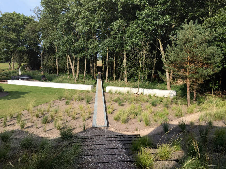 ​Garden in Schoorl | The Netherlands, Andredw van Egmond | designing garden and landscape Andredw van Egmond | designing garden and landscape Minimalist style garden Plant,Tree,Natural landscape,Road surface,Wood,Grass,Leisure,Landscape,Road,Shrub