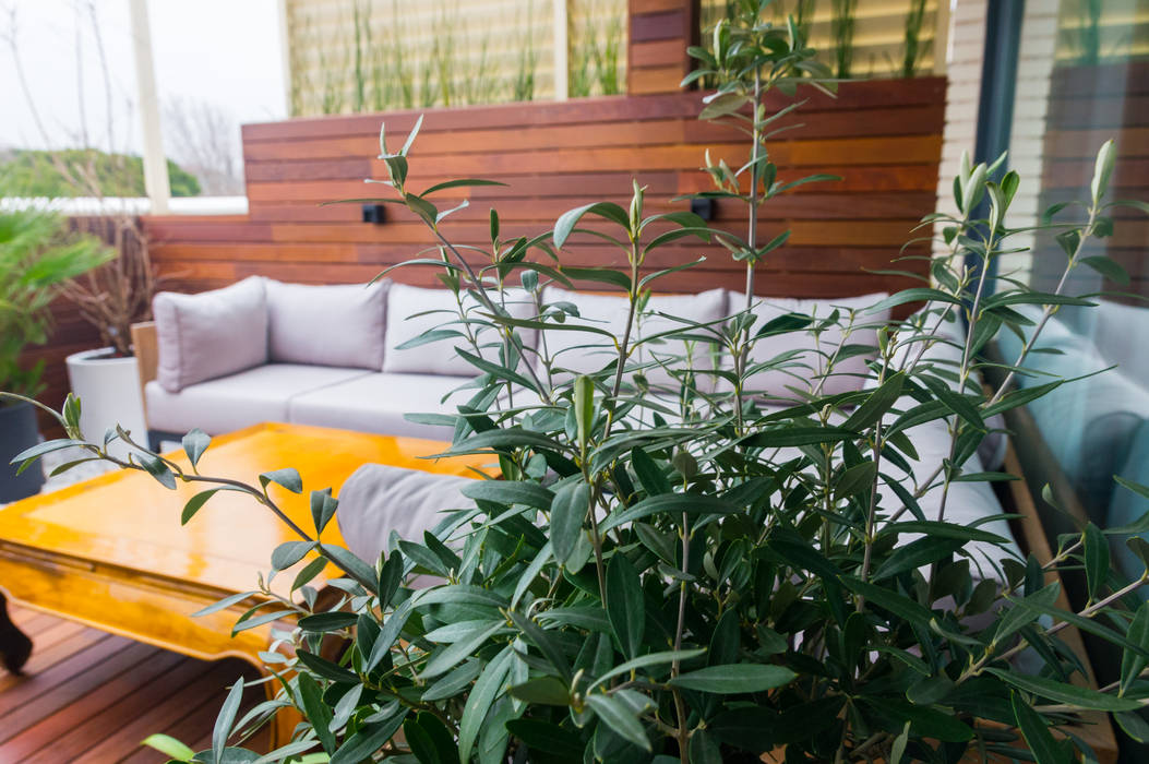 Proyecto de reforma de terraza en Madrid, La Patioteca La Patioteca Nowoczesny balkon, taras i weranda Drewno O efekcie drewna