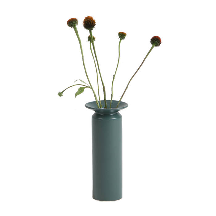 homify Modern garden Ceramic Plants & accessories