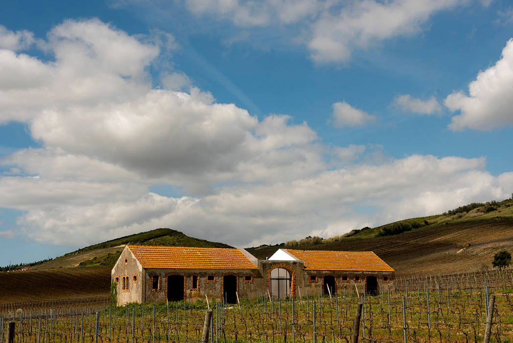 Melaria Torres Vedras, Silva Cravo Arquitectos Silva Cravo Arquitectos Rustic style wine cellar