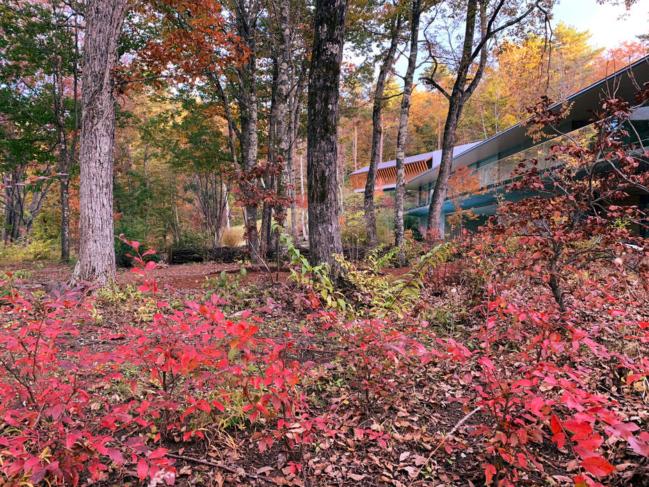 富士桜高原の庭, （有）ハートランド （有）ハートランド Front garden