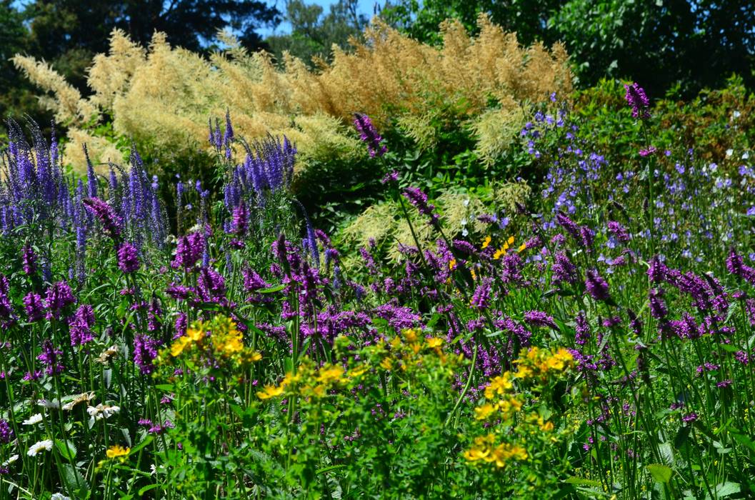 Озеленение, Aster Garden Aster Garden Сад в стиле модерн