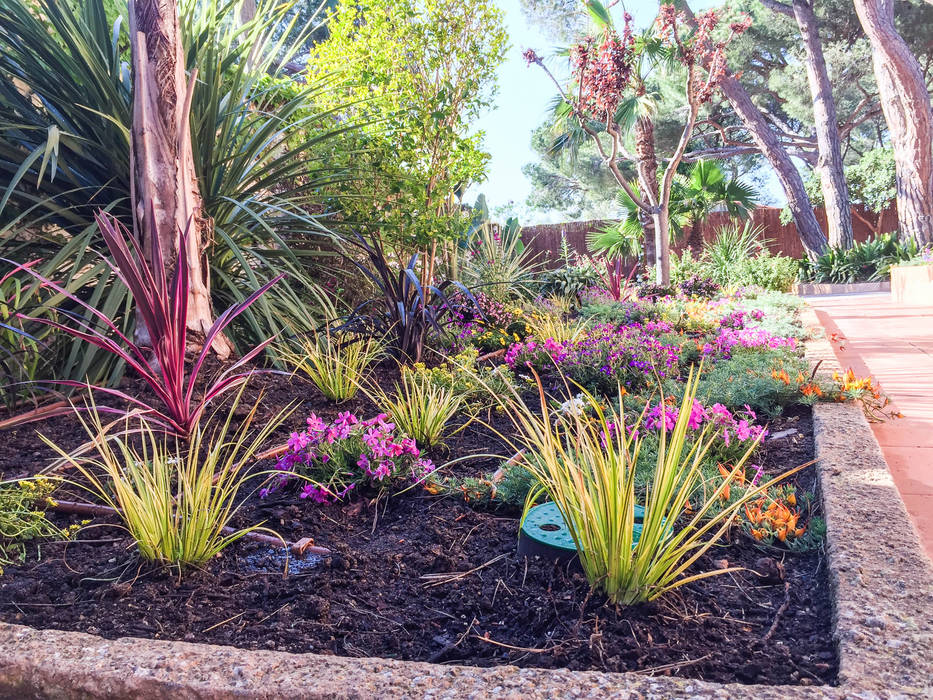 Jardin en La Fosca, Nosaltres Toquem Fusta S.L. Nosaltres Toquem Fusta S.L. Tropical style gardens