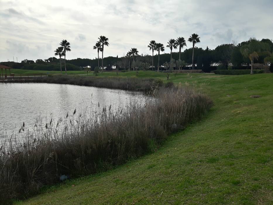 Hotel Lake Resort Jardins do Paço Swimming pond