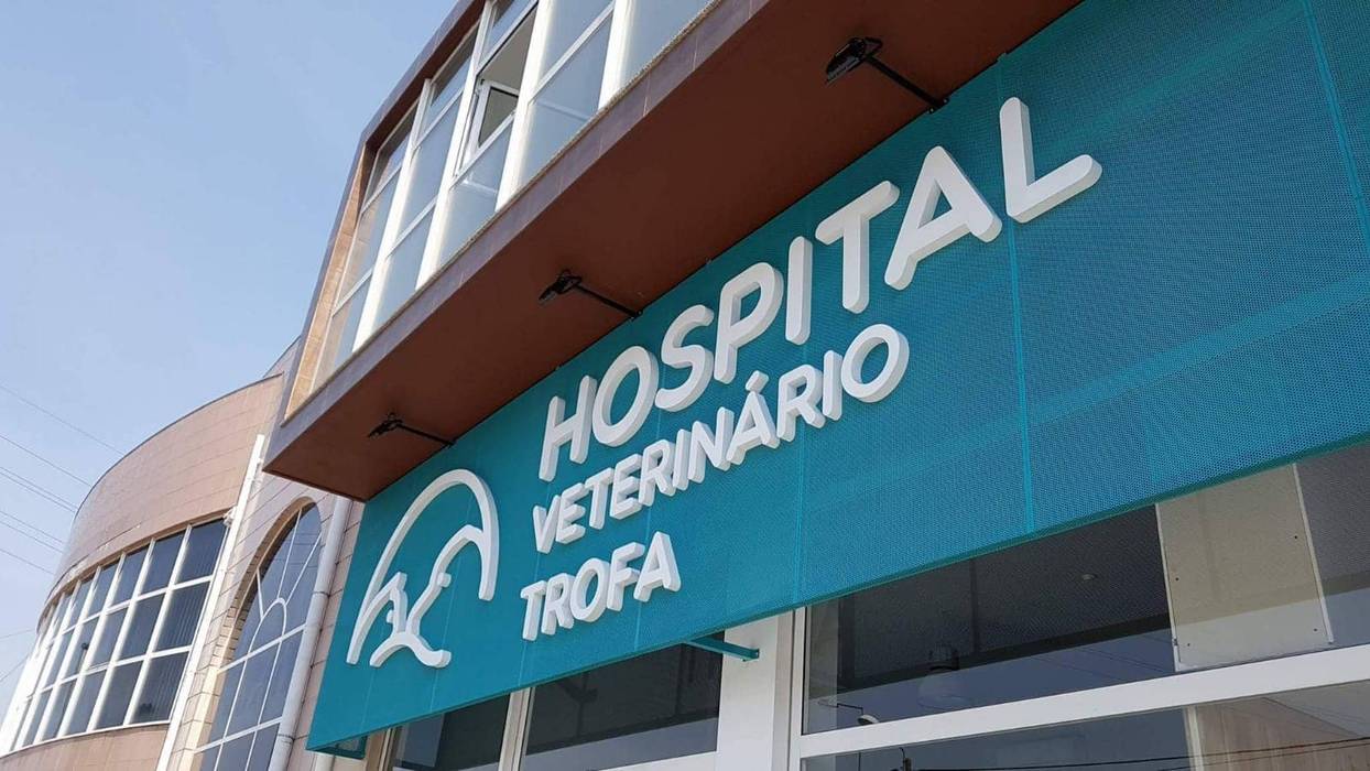 Hospital Veterinário Trofa, MIA arquitetos MIA arquitetos مساحات تجارية معدن مستشفيات