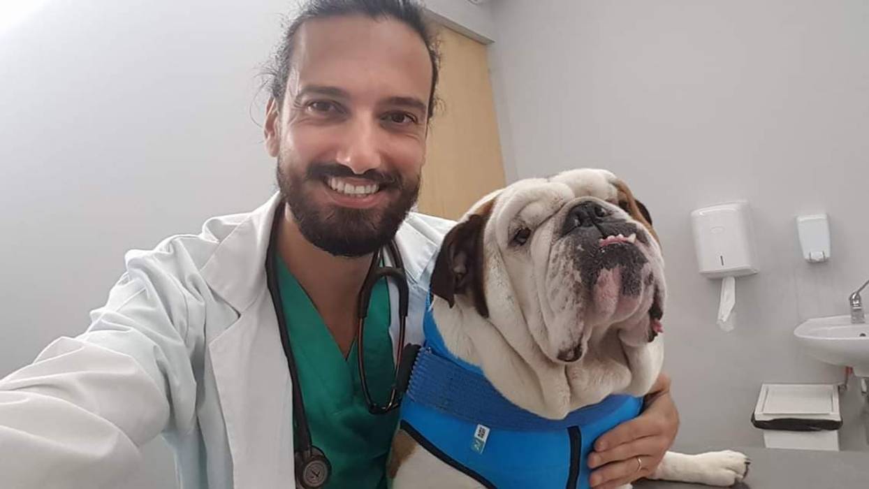 Hospital Veterinário Trofa, MIA arquitetos MIA arquitetos Powierzchnie handlowe Drewno O efekcie drewna Szpitale