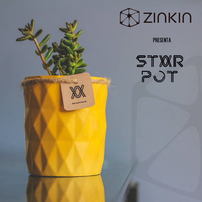 STAR POT, STUDIO ZINKIN STUDIO ZINKIN Autres espaces Objets d'art