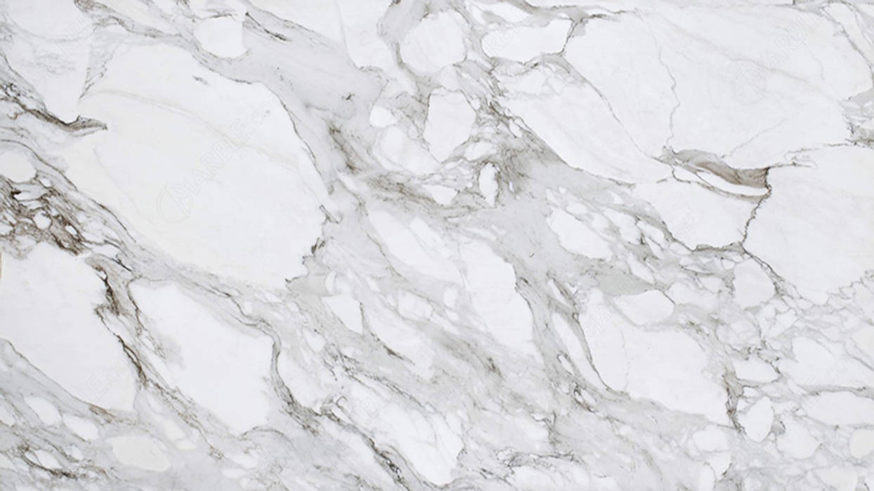 Đá Calacatta Marble Công ty TNHH truyền thông nối việt Tường & sàn phong cách hiện đại mẫu đá marble,