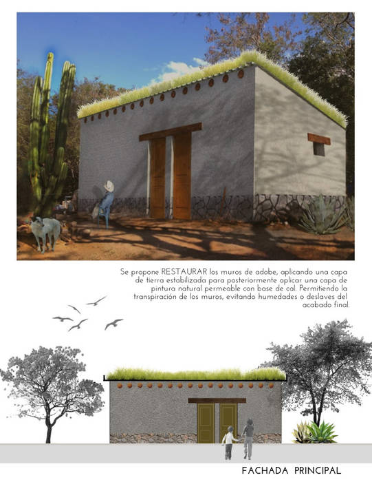 Restauración ADOBE, Tierra Taller mx Tierra Taller mx منزل سلبي