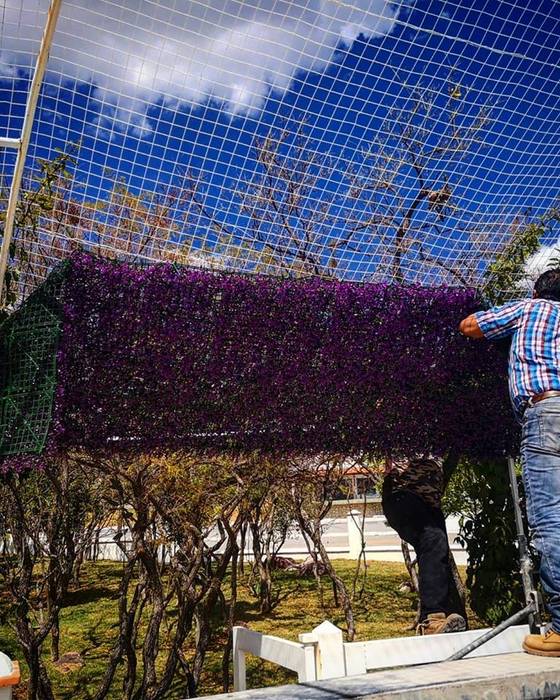 Muro Verde en Finca, Grupo Harbo Grupo Harbo 片流れ屋根 プラスティック