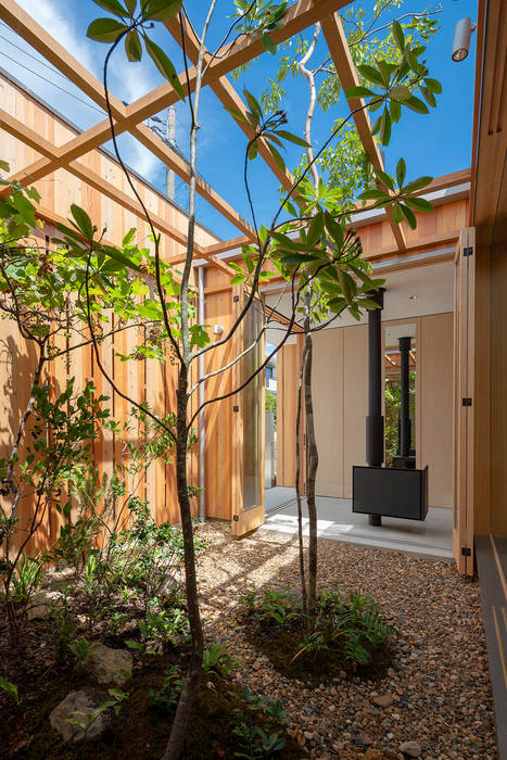 明石の家 house in akashi, arbol arbol ミニマルな 庭 工場,空,植物学,フィクスチャ,ブランチ,植生,シェード,住宅街,近所,木本植物