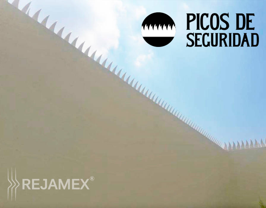 Picos de Seguridad para bardas, Rejamex Rejamex Jardins de fachada Metal