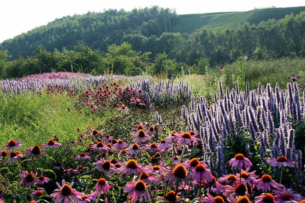 SILENT ISLAND - gepflanzte Oasen für die Auszeit in der Natur , Petra Pelz Design-natuerlich Petra Pelz Design-natuerlich