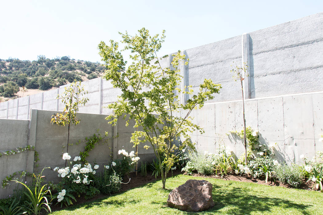 Acer japónico homify Jardines con piedras paisajismo,jardín