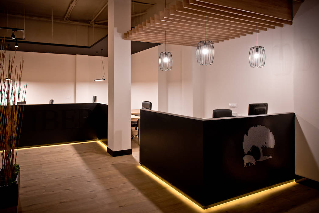 Oficinas AECERIBER, SENZA ESPACIOS SENZA ESPACIOS Commercial spaces Wood Wood effect Office buildings