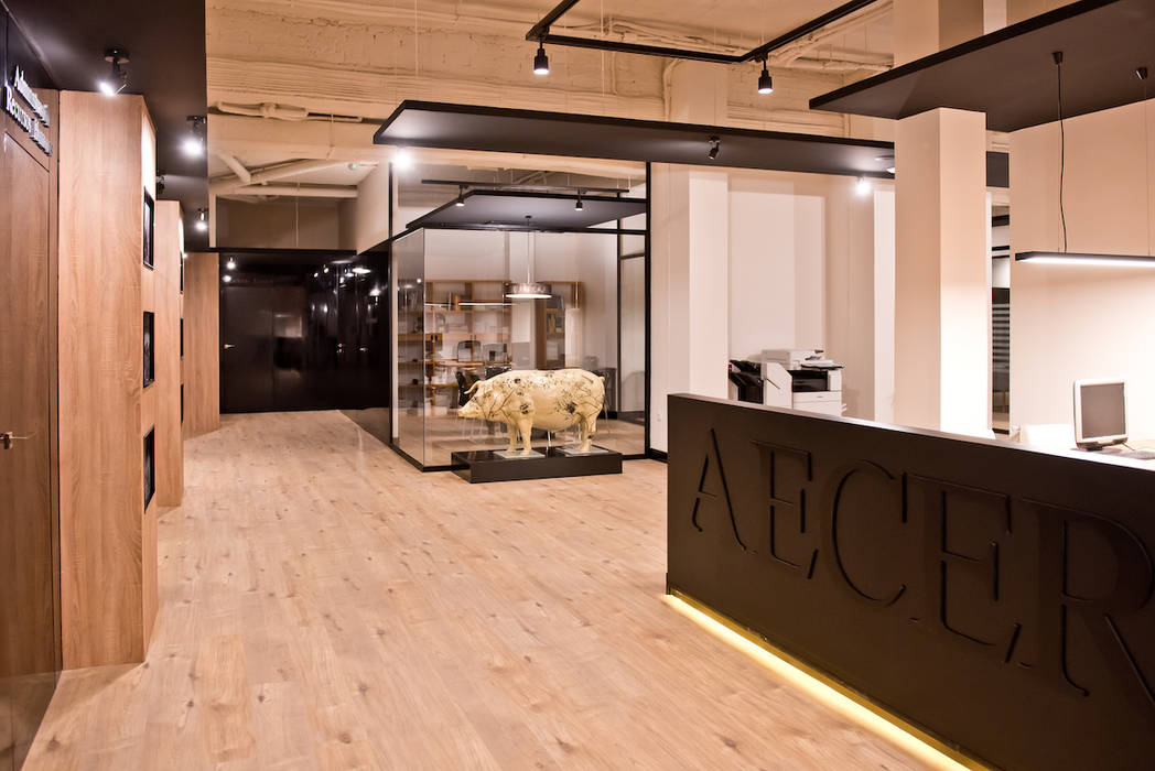 Oficinas AECERIBER, SENZA ESPACIOS SENZA ESPACIOS Commercial spaces Wood Wood effect Office buildings