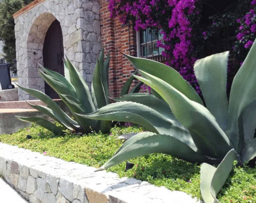 Jardines residenciales, Brenda Vizcaíno - Arquitectura de Paisaje Brenda Vizcaíno - Arquitectura de Paisaje Colonial style garden